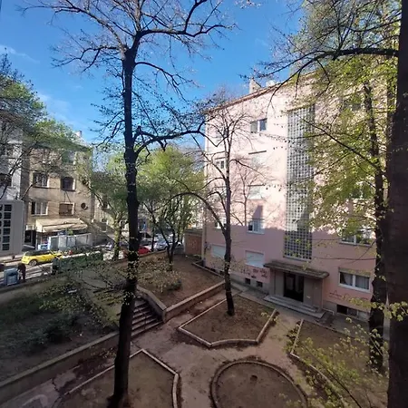 Dalmatinska Belgrade